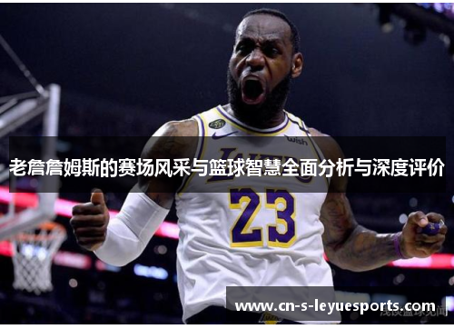 老詹詹姆斯的赛场风采与篮球智慧全面分析与深度评价