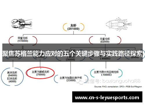 聚焦苏格兰能力应对的五个关键步骤与实践路径探索