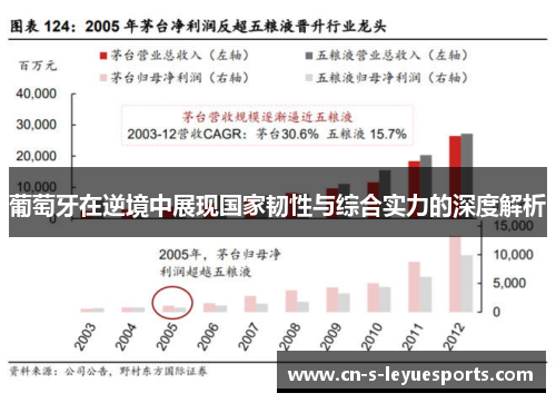 葡萄牙在逆境中展现国家韧性与综合实力的深度解析