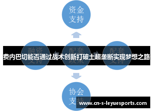 费内巴切能否通过战术创新打破土超垄断实现梦想之路