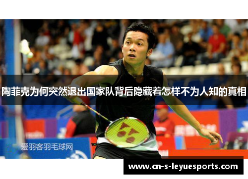 陶菲克为何突然退出国家队背后隐藏着怎样不为人知的真相